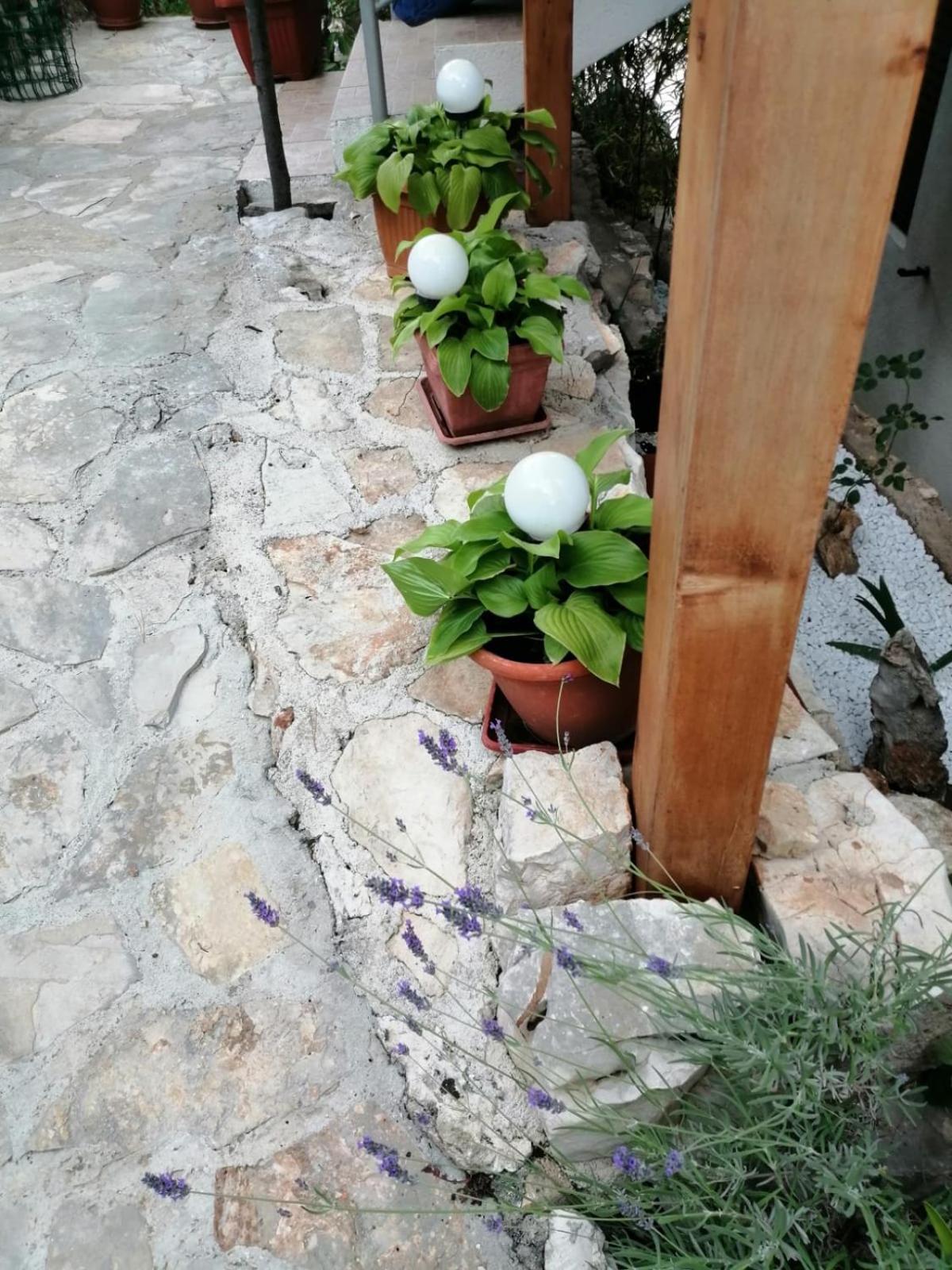 Mala Basina -Maslina Apartment Vrbanj Exterior photo