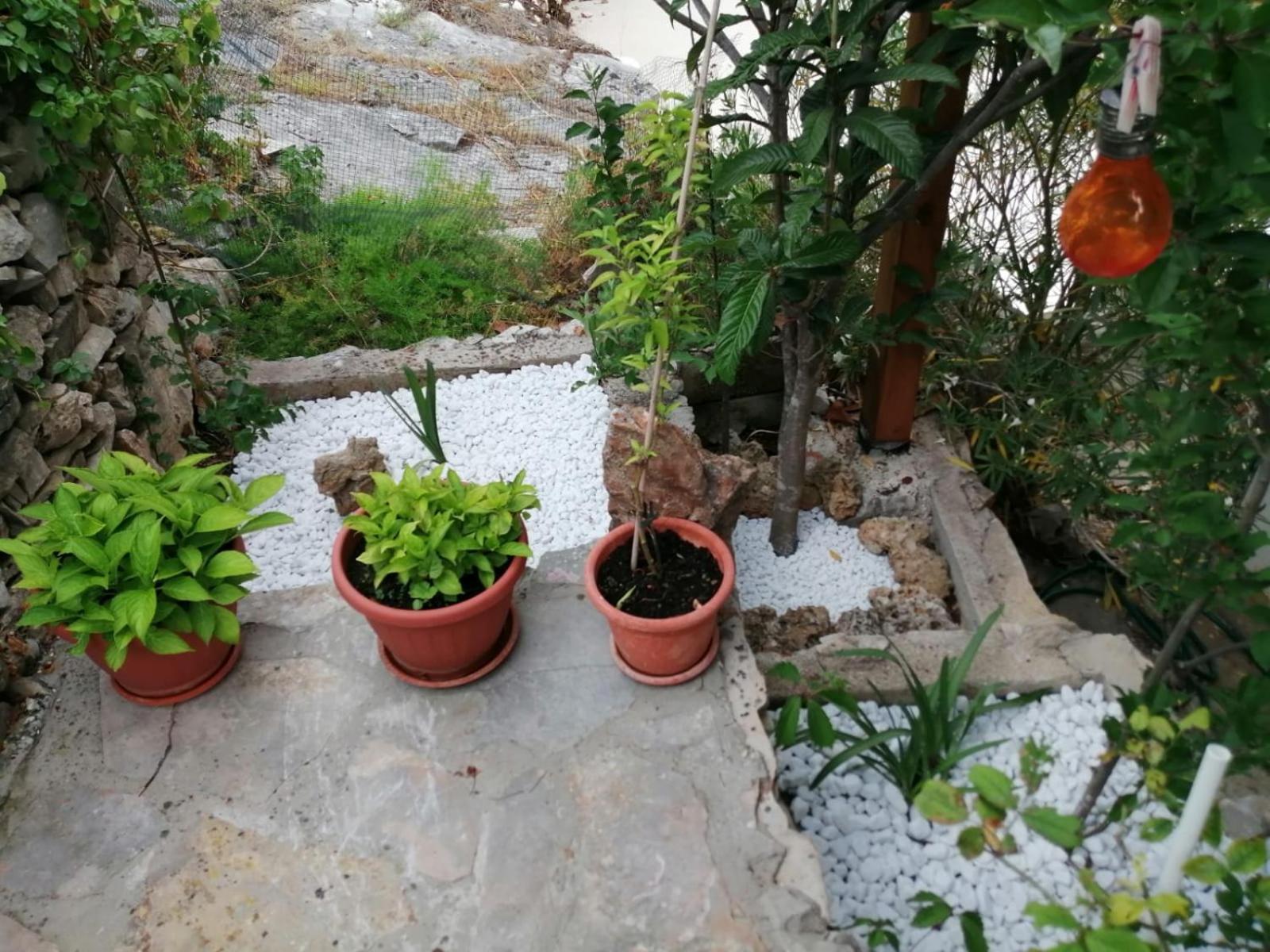 Mala Basina -Maslina Apartment Vrbanj Exterior photo